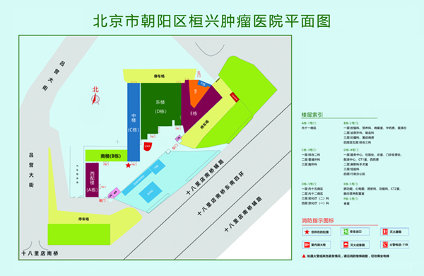 被爆日逼北京市朝阳区桓兴肿瘤医院平面图